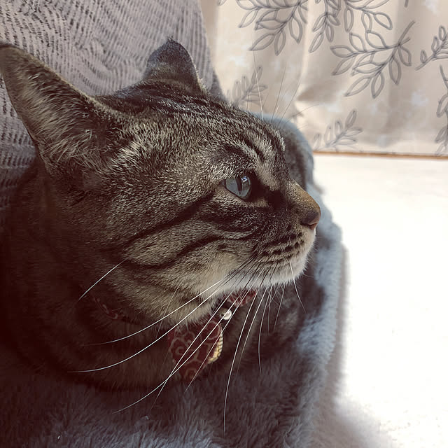 earthさんの実例写真