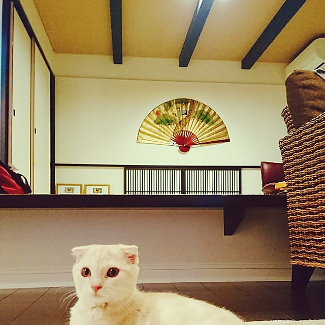 rioさんの実例写真