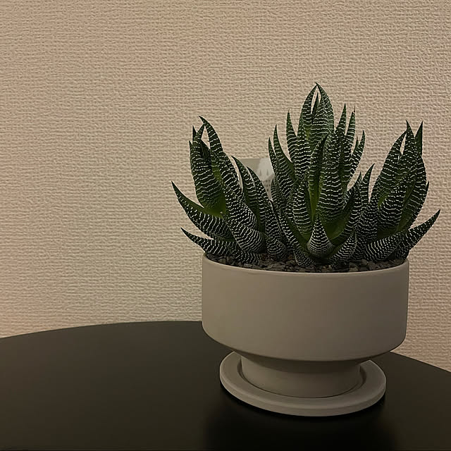 Laranjaさんの実例写真