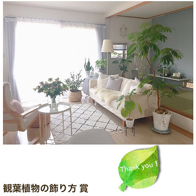 Rさんの実例写真