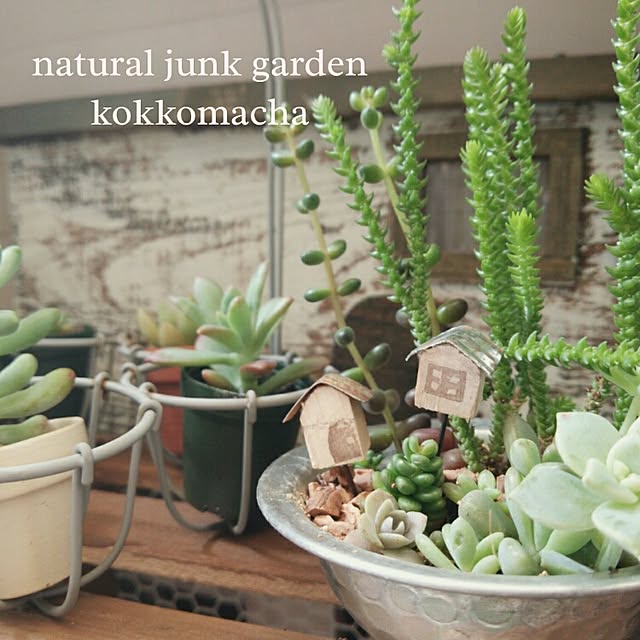 kokkomachaさんの実例写真