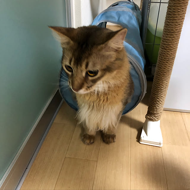 meさんの実例写真