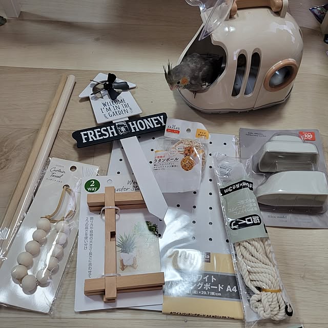 ANTENNAさんの部屋