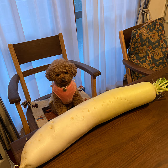 Yumiさんの実例写真