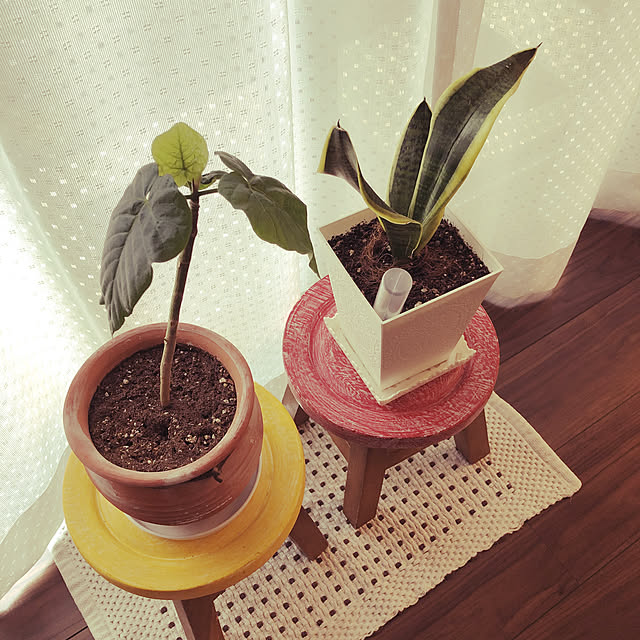 mimi.mocchiさんの実例写真