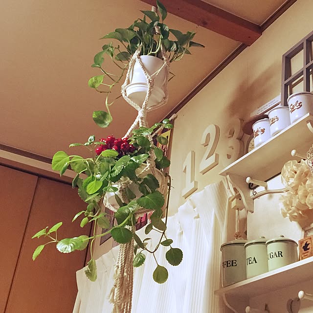 ichigonohanaさんの実例写真