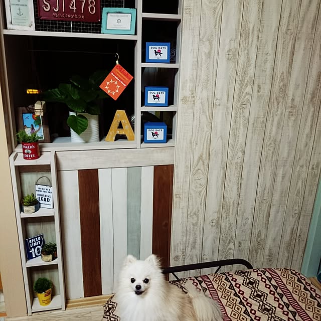 yukaさんの実例写真