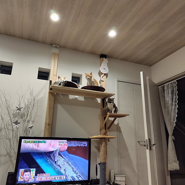 nrsim+kmymさんの実例写真