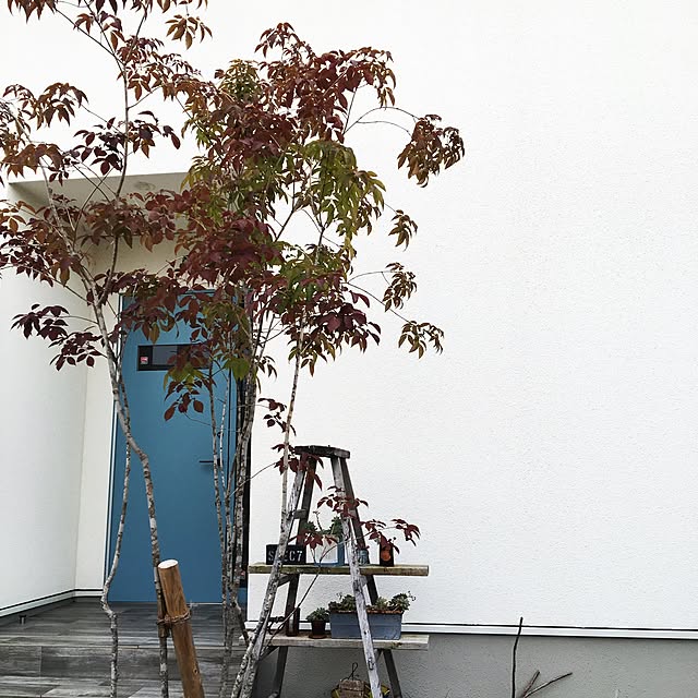 oldwoodさんの実例写真
