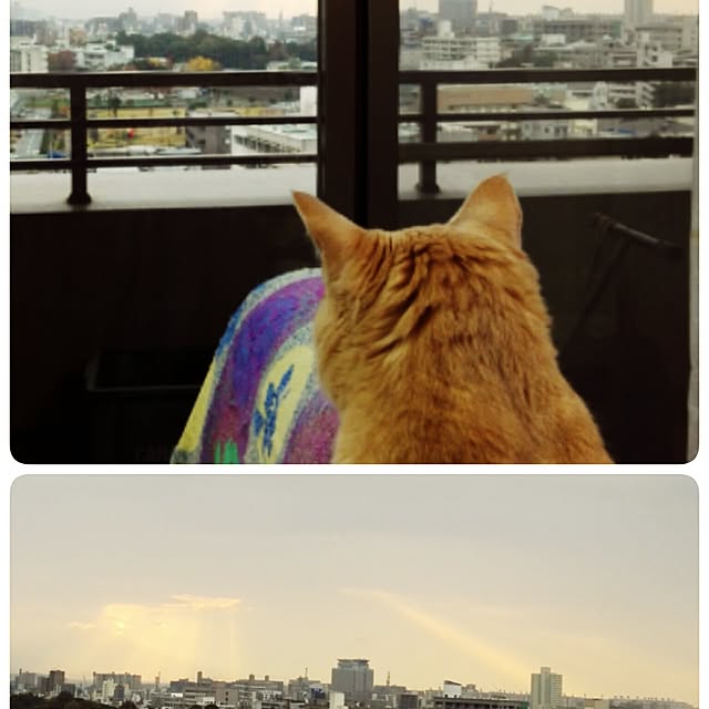 nana.maroさんの実例写真