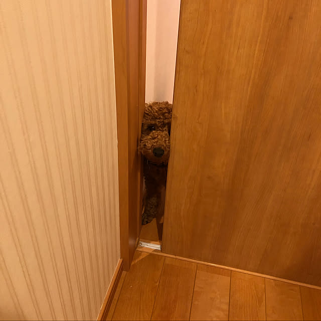 nanachanmamaさんの実例写真