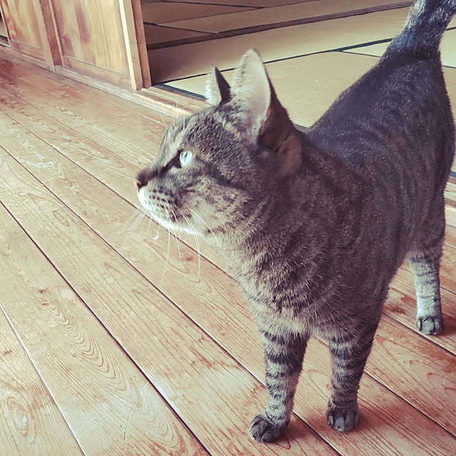 midoさんの実例写真