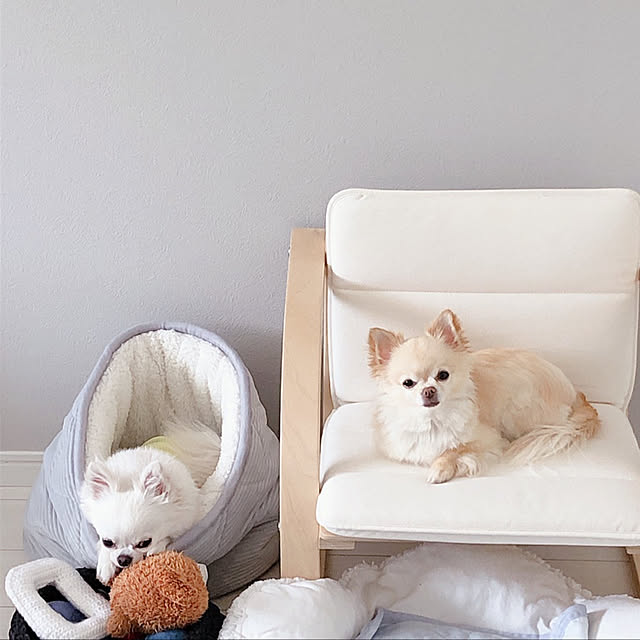 omochi290409さんの実例写真