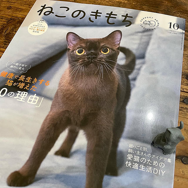 mayumiさんの実例写真