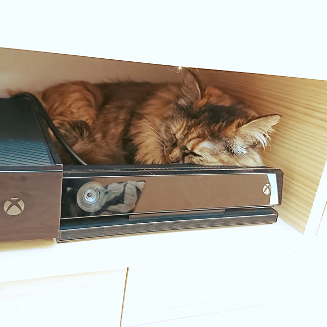 nekomajinさんの実例写真