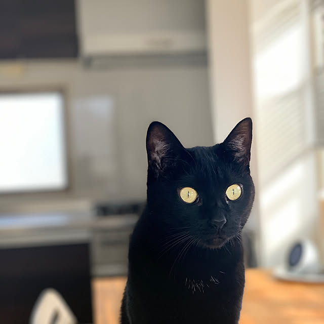 simplegooseさんの実例写真