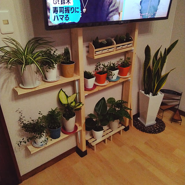saya147kaさんの実例写真