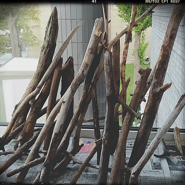 yukoyukoさんの実例写真