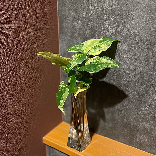 ikuzakさんの実例写真