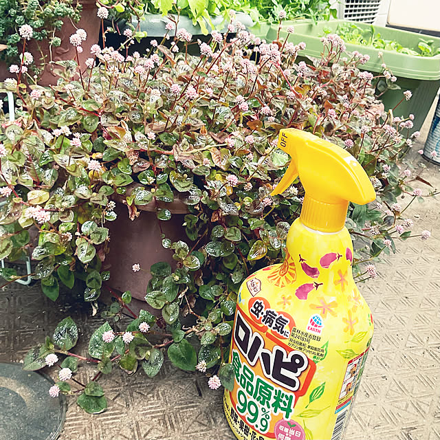 heidiさんの実例写真