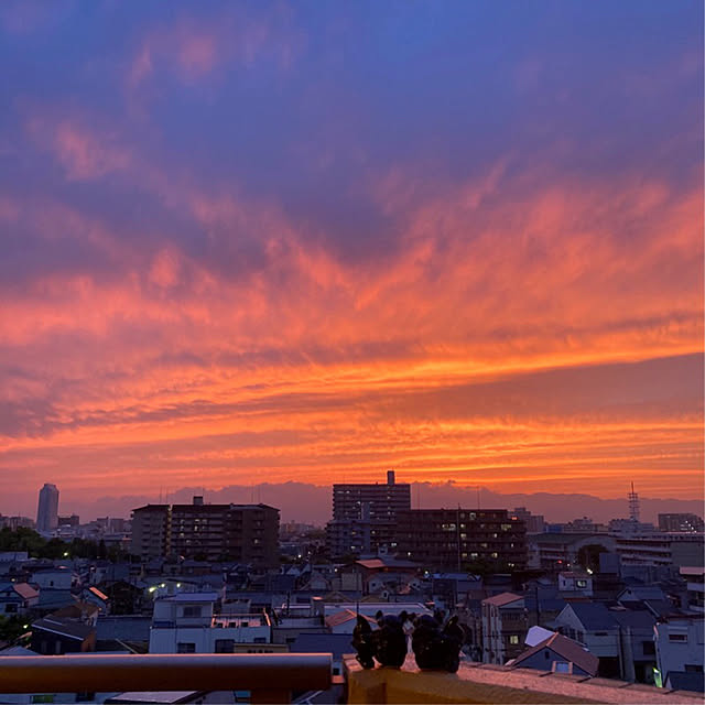 simple_blowbackさんの実例写真