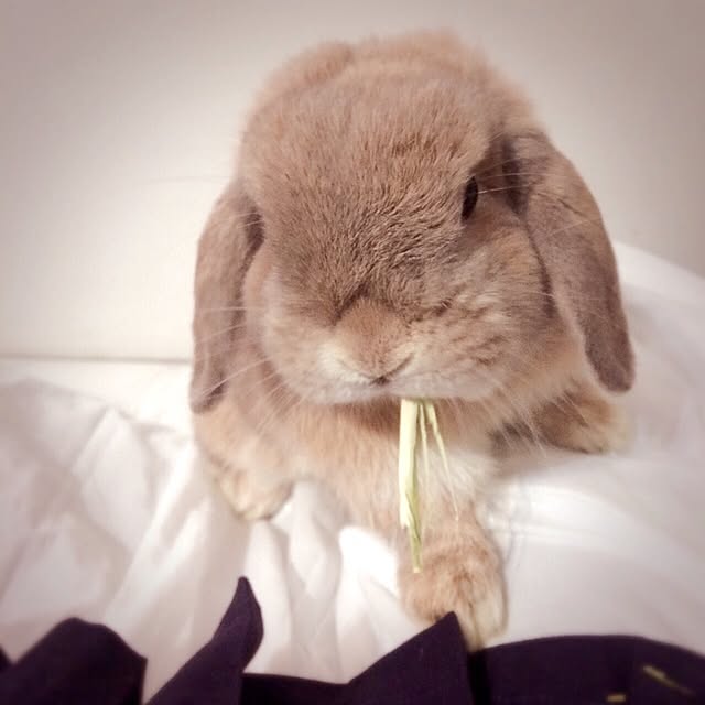 mmipさんの実例写真