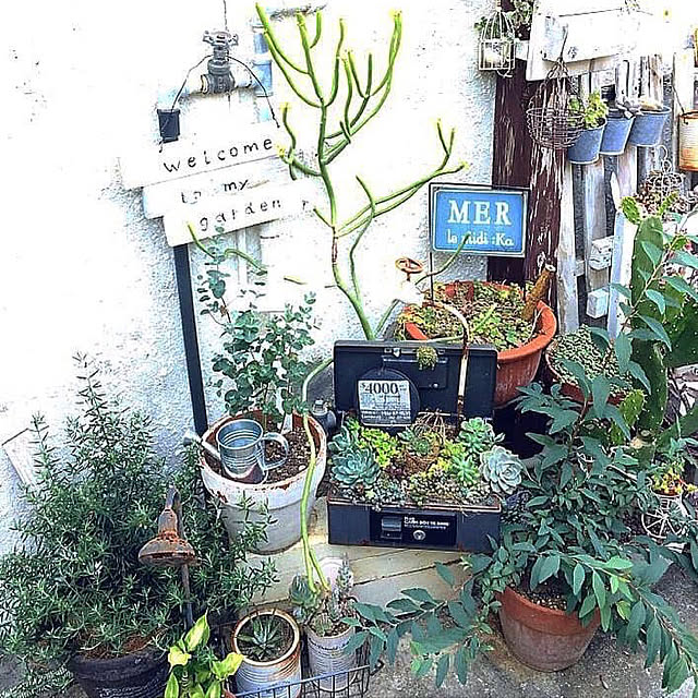 coraruさんの実例写真