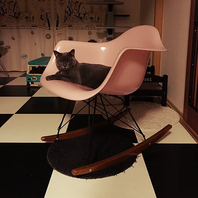 Shojiさんの実例写真