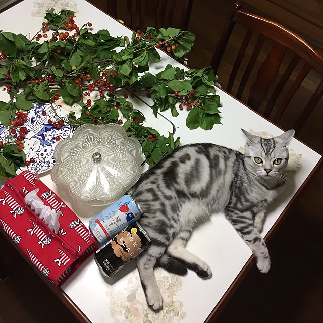 tanutanさんの実例写真