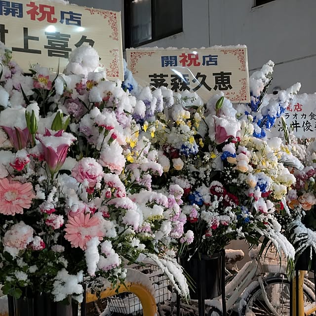 monnさんの部屋