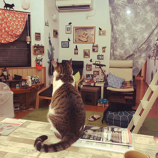 jijiさんの実例写真
