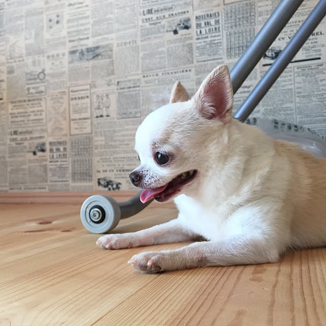 unataroさんの実例写真