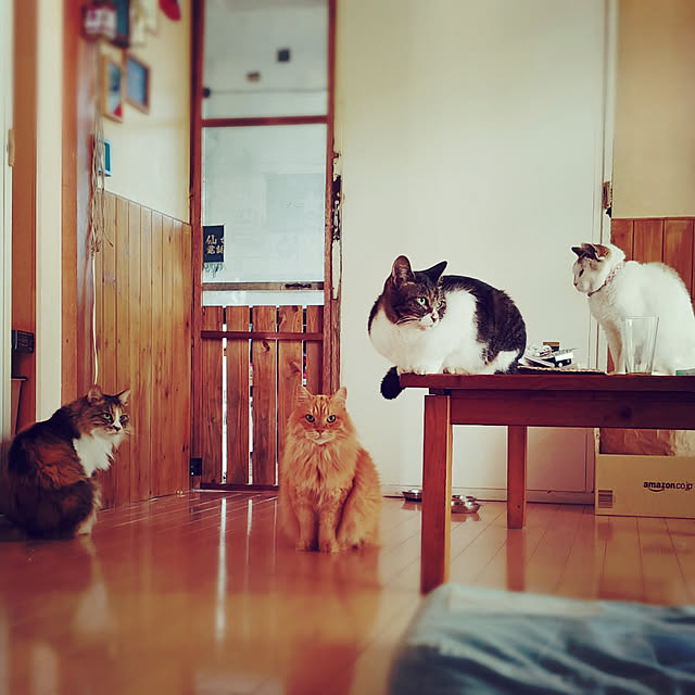 choku3さんの実例写真