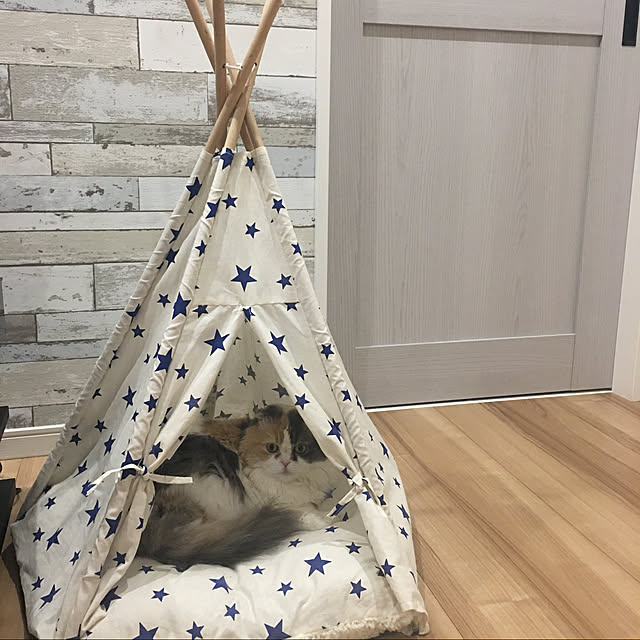 Kaorinさんの実例写真