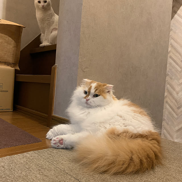 keiさんの部屋