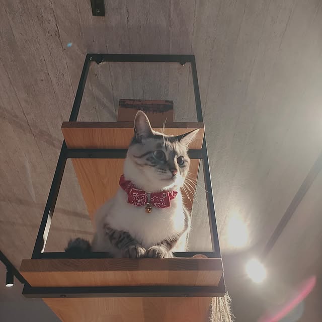 Atelier_tamakiさんの部屋