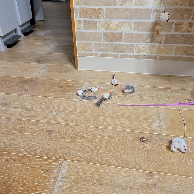 akimameさんの実例写真