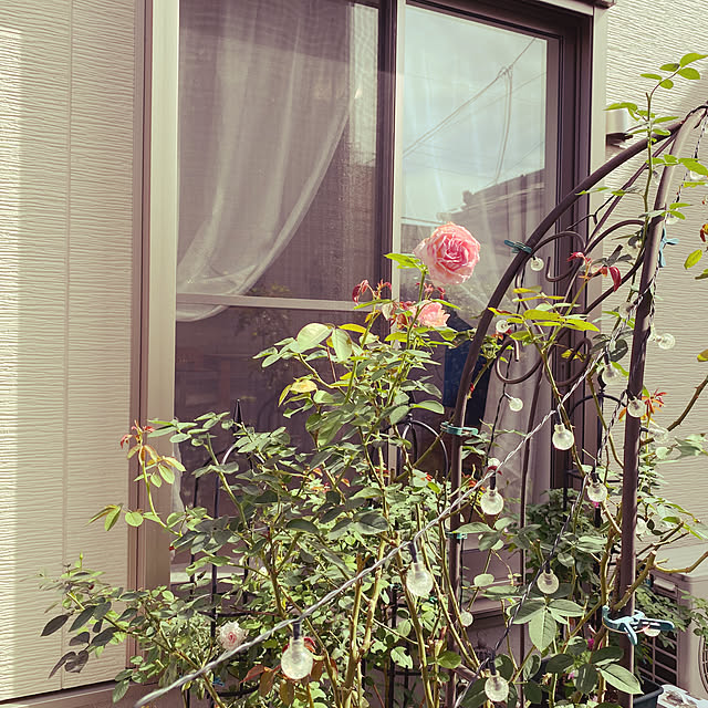 sariさんの部屋