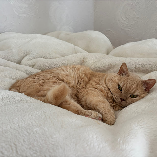 naokoさんの部屋