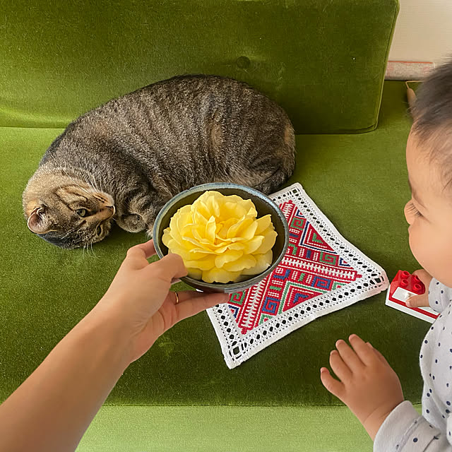 mikomaruさんの実例写真