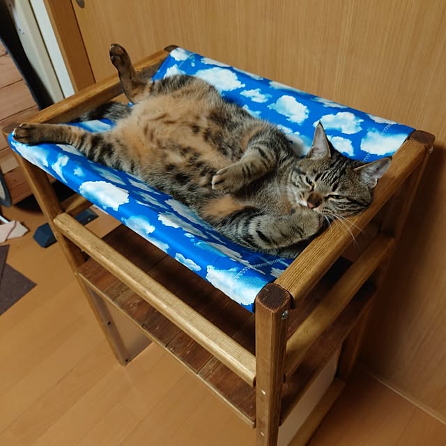 carbonaraさんの実例写真