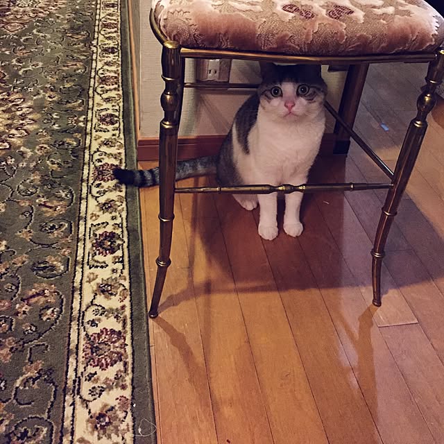 emmyyさんの実例写真