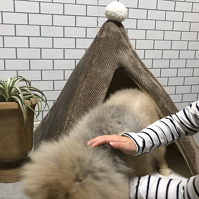 adgjmptwさんの実例写真
