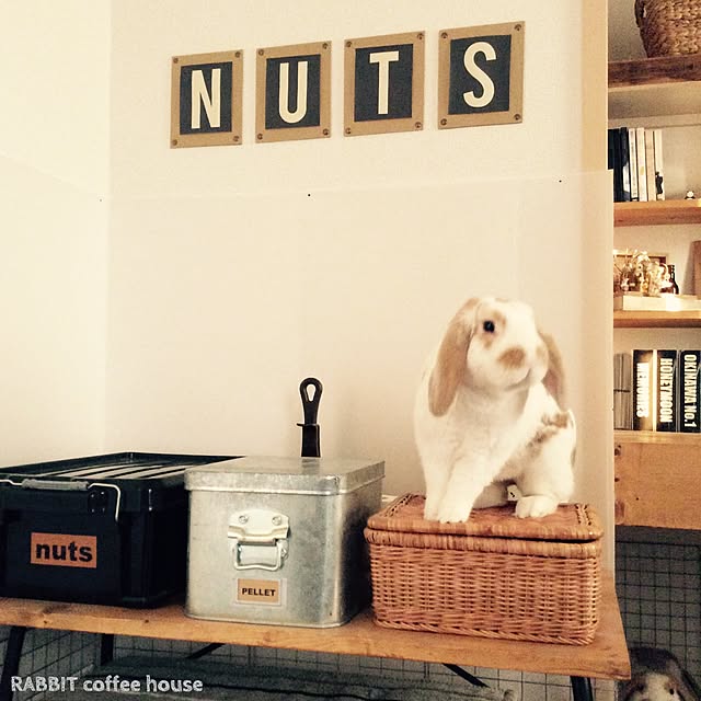 nutsさんの実例写真