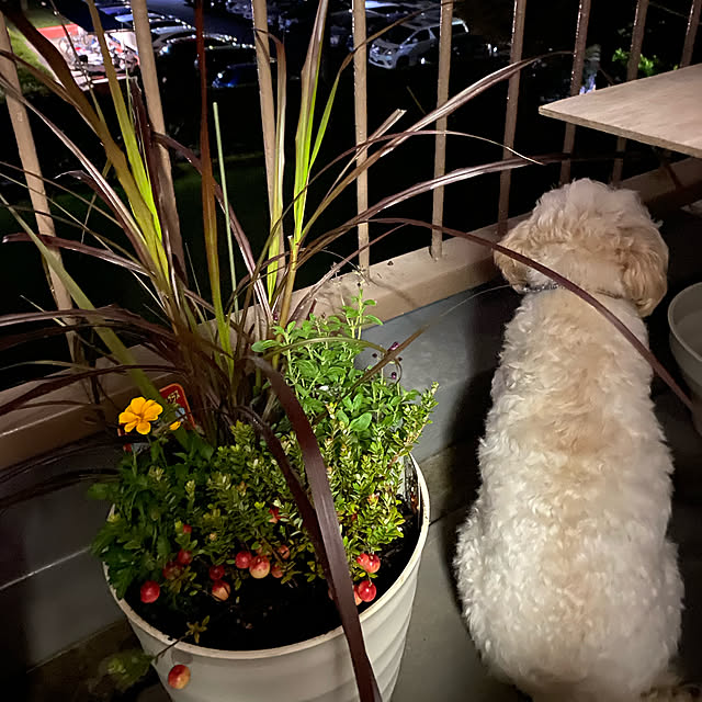 emiさんの実例写真
