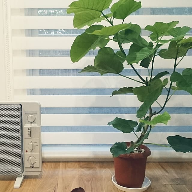 Noriyamさんの実例写真