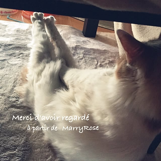 maria.rさんの実例写真