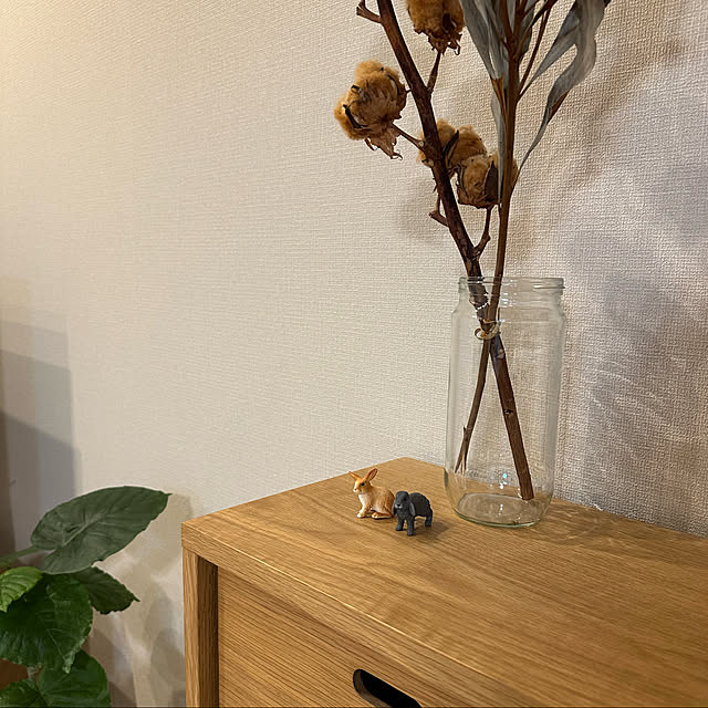 MAYUさんの実例写真