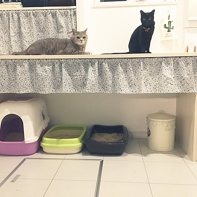 Leoさんの実例写真