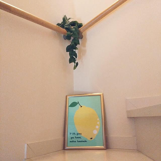 sumomoさんの実例写真